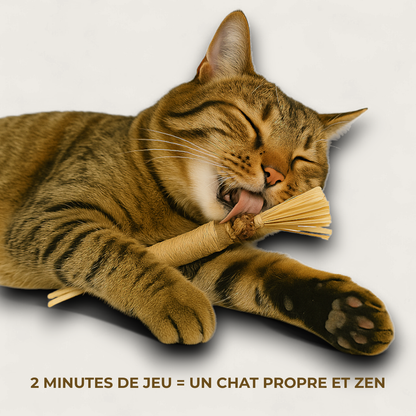 Bâton silvervine naturel Luma